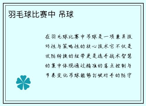 羽毛球比赛中 吊球